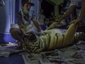 Harimau Sumatera Hamil Tewas Terkena Jerat Kawat di Riau