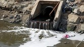 Sungai Shatt-al-Arab yang melintasi kota itu pun sekarang dipenuhi oleh bakteri, bahan kimia, alga beracun, dan konsentrasi garam yang membuat air sungai terasa asin (REUTERS/Alaa al-Marjani)