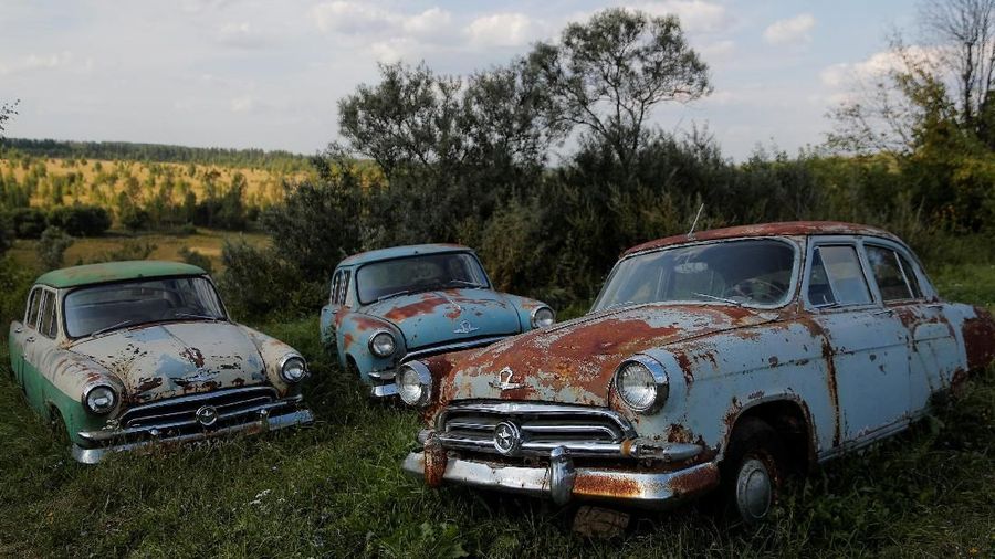 A cat sits in front of a retro car owned by retired mechanic Mikhail Krasinets at an open-air museum of Soviet-era vehicles in the village of Chernousovo, Tula region, Russia August 28, 2018. Picture taken August 28, 2018. REUTERS/Maxim Shemetov TPX IMAGES OF THE DAY
