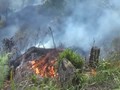 VIDEO: Kebakaran Lahan di Mamasa