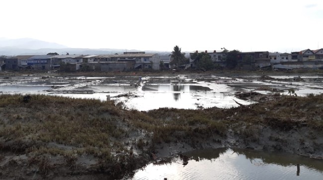 Patahan Raksasa Ditemukan di Bawah Sulawesi, Tsunami Besar Mengancam