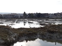 Patahan Raksasa Ditemukan di Bawah Sulawesi, Tsunami Besar Mengancam