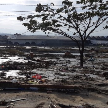 Simak Kondisi Terkini Pesisir Kota Palu Pascagempa & Tsunami!