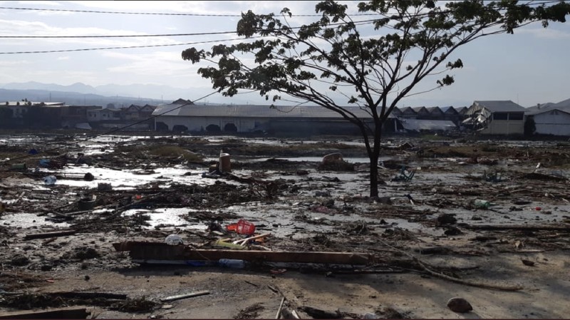 Beberapa korban meninggal ditemukan akibat gempa dan diterjang tsunami.