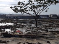Simak Kondisi Terkini Pesisir Kota Palu Pascagempa & Tsunami!