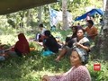 VIDEO: Takut Tsunami, Warga Mamuju Bertahan Di Gunung