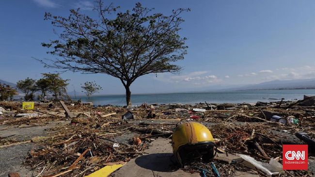 Bos Google Sumbang Rp14,9 Miliar untuk Korban Gempa Palu