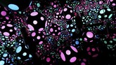 Yayoi Kusama menampilkan karyanya di Victoria Miro Gallery, London, Inggris pada 28 September 2018. (REUTERS/Peter Nicholls)