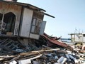Lahan untuk Pengungsi Gempa Sulteng Masih Kurang 15 Hektare
