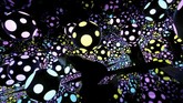 Tema serupa kerap muncul dalam satu seksi di koleksi pamerannya yang dikenal dengan Infinity Room. (REUTERS/Peter Nicholls)