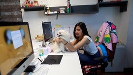 FOTO: Anjing Masuk Kantor