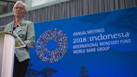 IMF: Ekonomi 2018 Lebih Baik dari 2008, Tapi Tak Cukup Aman