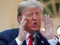 Spesies Amfibi Baru Dinamai Donald Trump