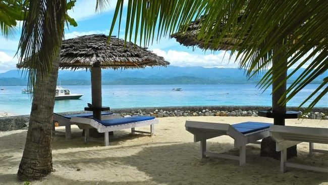 Resor Diving di Donggala Tampung WNA Korban Tsunami