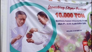 VIDEO : Indonesia Ekspor Manggis ke China