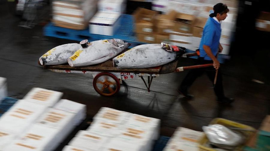 A wholesaler pulls a cart of frozen tuna fish at the Tsukiji fish market in Tokyo, Japan, September 29, 2018. REUTERS/Issei Kato SEARCH