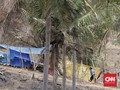 Khawatir Tsunami Susulan, Warga Bertahan di Gunung Rajabasa
