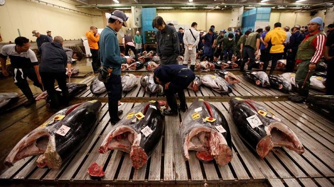 Kisah Pilu Pelelangan Tuna Terakhir di Pasar Tsukiji
