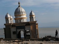 Sepekan Gempa Palu, Korban Meninggal Capai 1.558