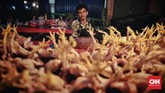 BPS mencatat deflasi dikarenakan harga sejumlah bahan pangan menurun, seperti daging ayam ras, telur ayam ras, bawang merah, dan cabai merah. (CNN Indonesia/Bisma Septalisma).