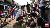 Para penyayang anjing dari berbagai wilayah Jakarta mendatangi tempat pemasangan microchip bagi anjing yang diselenggarakan oleh kelompok pelindung hewan nasional dan internasional di kawasan Kemang, Jakarta Selatan, Sabtu (6/8). (CNNIndonesia/Safir Makki)