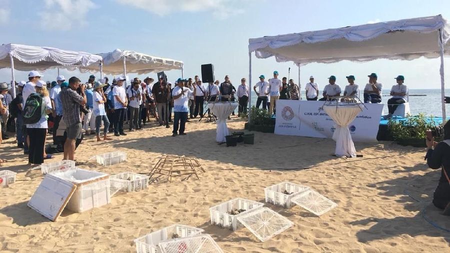 Segenap Staf dan Manajemen IMF menyumbang Rp 2 miliar untuk para korban gempa bumi dan tsunami