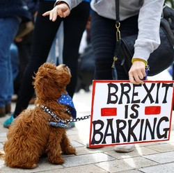 Tolak Langkah PM May, Menteri Junior Brexit Putuskan Resign!