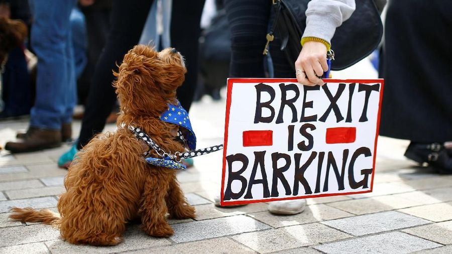 CFO atau direktur keuangan beberapa perusahaan terbesar dunia berharap kesepakatan keluarnya Inggris dari UE atau Brexit akan disetujui parlemen Inggris
