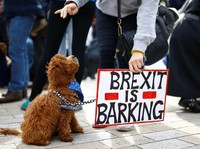 Tolak Langkah PM May, Menteri Junior Brexit Putuskan Resign!