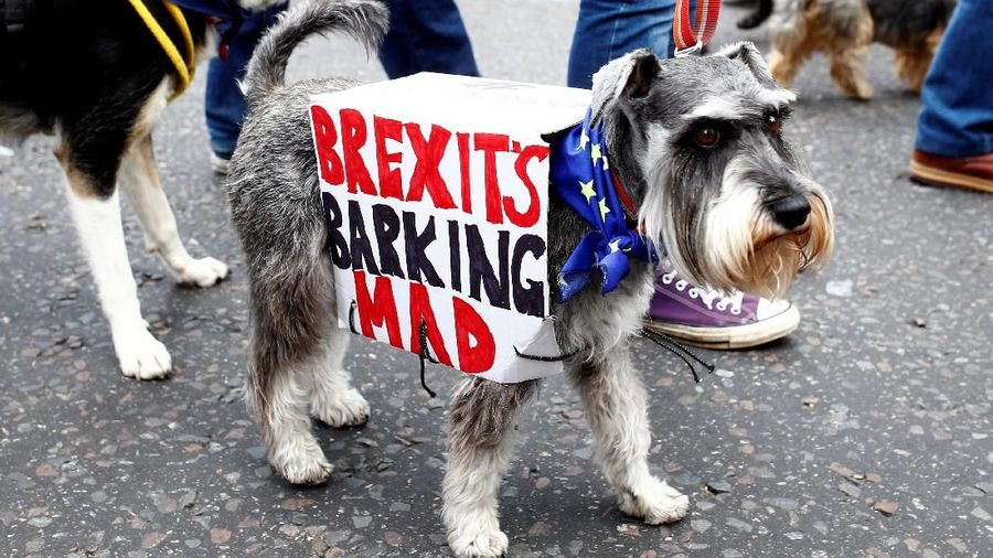 Perdana Menteri Inggris Theresa May merilis dorongan baru untuk meyakinkan anggota parlemen Inggris mendukung kesepakatan Brexit dengan Uni Eropa (UE).