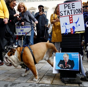Saat Ratusan Anjing Demo, Tuntut 'Wooferendum'