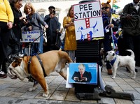 Saat Ratusan Anjing Demo, Tuntut 'Wooferendum'