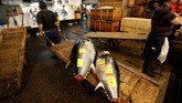 Di pagi itu, para pedagang masuk ke sebuah gudang pelelangan. Ritual pelelangan ini sangat penting untuk dunia kuliner Tokyo. (REUTERS/Issei Kato)
