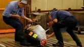 Sabtu itu, tuna sirip biru yang lezat dan berdaging tebal--sebagai salah satu spesies terancam--terjual dengan harga 4,4 juta yen atau setara dengan Rp591 juta. (REUTERS/Kim Kyung-Hoon)