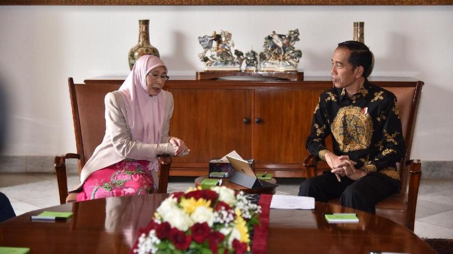 Presiden Joko Widodo dan Deputi PM Malaysia Wan Azizah Wan Ismail bertemu di Istana Bogor.