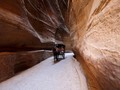 FOTO: Semarak Baru di Kota Petra