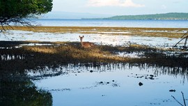 5 Destinasi Sepi Turis di Bali