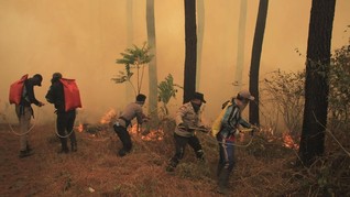 BNPB Sebut Satu Titik Api di Gunung Ciremai Belum Padam