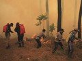 BNPB Sebut Satu Titik Api di Gunung Ciremai Belum Padam