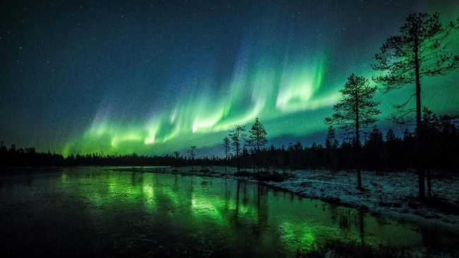 Sewa Pulau Pribadi Demi Nikmati Cahaya Aurora Di Norwegia