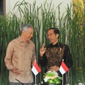 Bocoran Pertemuan Jokowi & PM Singapura di Bintan Hari Ini