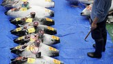Lonceng pun tetap dibunyikan sebagai tanda pemanggil pelelang ikan untuk mulai menawar harganya. (REUTERS/Issei Kato)