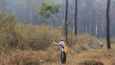 Kebakaran yang melanda kawasan hutan Gunung Ciremai semakin meluas hingga mencapai 400 hektar dan titik api semakin mendekati pemukiman warga. ANTARA FOTO/Dedhez Anggara