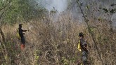 Kepala Pelaksana Badan Penanggulangan Bencana Daerah (BPBD) Kabupaten Kuningan, Agus Mauludin menyatakan api terus merambat dan saat ini kebakaran sudah menghanguskan 1.000 hektare kawasan hutan. ANTARA FOTO/M.Taufik