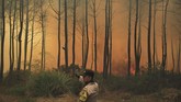 Kebakaran di kawasan Taman Nasional Gunung Ciremai, Kuningan, Jawa Barat, sudah memasuki hari ke-12, namun belum bisa dipadamkan. ANTARA FOTO/Dedhez Anggara