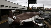 Sebelumnya badai ini diperkirakan akan seburuk badai Dennis pada 2005. Tapi, ternyata badai ini lebih buruk lagi, menyaingi badai pada 1851 (REUTERS/Jonathan Bachman)