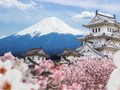 Lima Destinasi yang Wajib Anda Kunjungi di Jepang