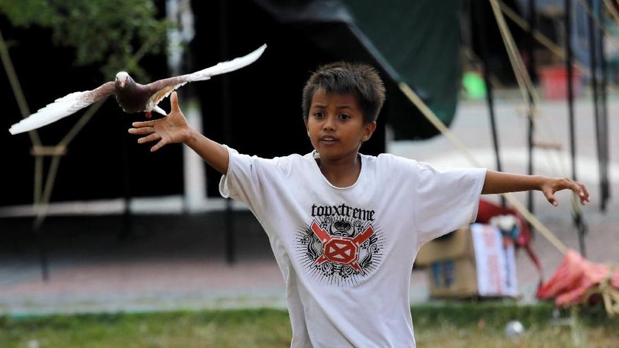 A boy plays with a pigoen at a camp for people displaced by an earthquake and tsunami in Palu, Central Sulawesi, Jakarta, Indonesia, October 10, 2018. REUTERS/Darren Whiteside