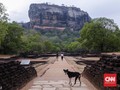 10 Negara Terbaik untuk Piknik Tahun Depan