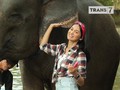 VIDEO: Jejak Petualang Weekend di Lovina